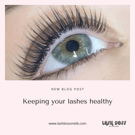 Keeping your eyelash extensions healthy  - Lash extension course blog - Lash Boss Melbourne