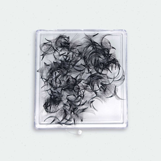 10D Promade Fans 0.07mm (300fans) C & D Curls