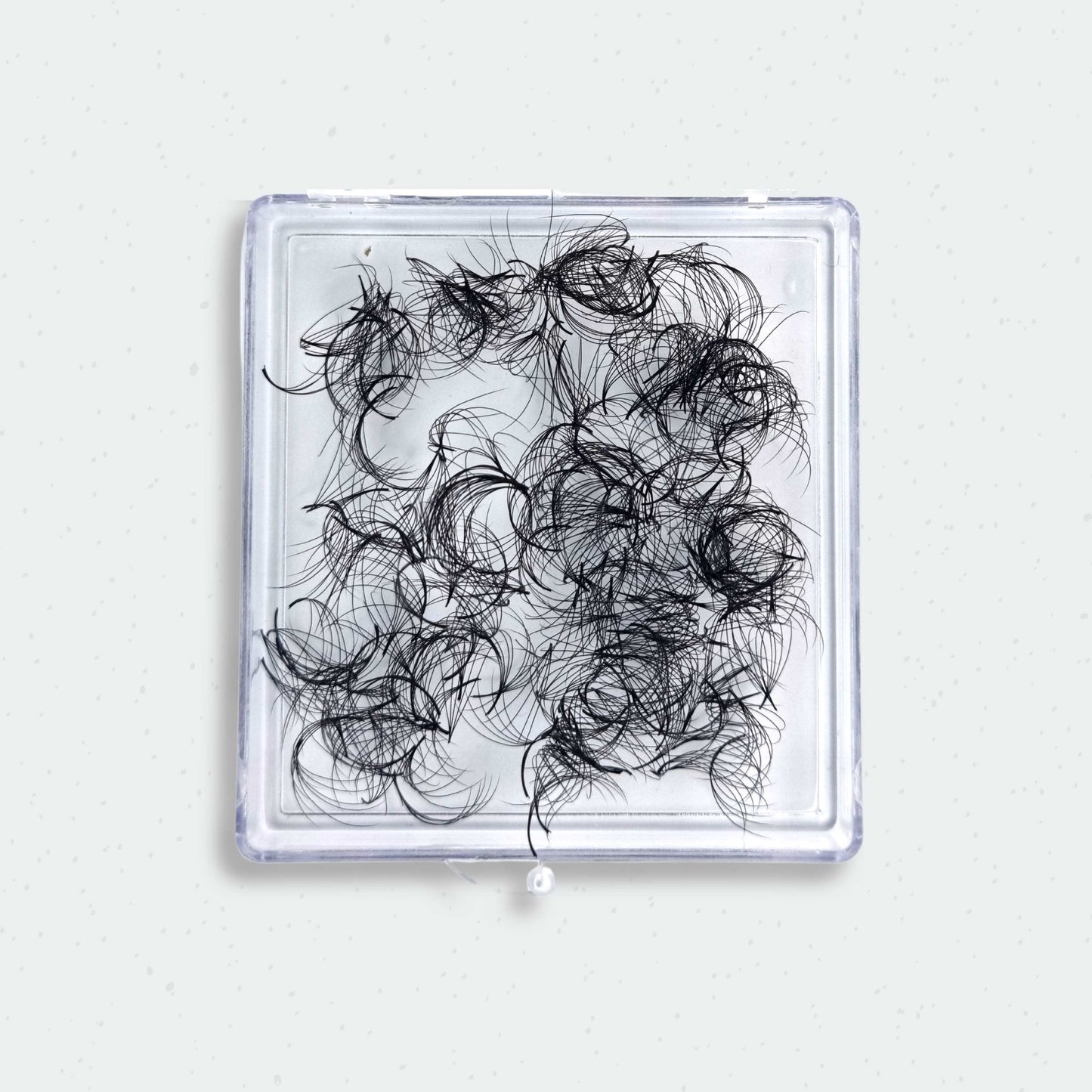 5D Promade Fans 0.07mm (300fans) C & D Curls Lash Boss Melbourne