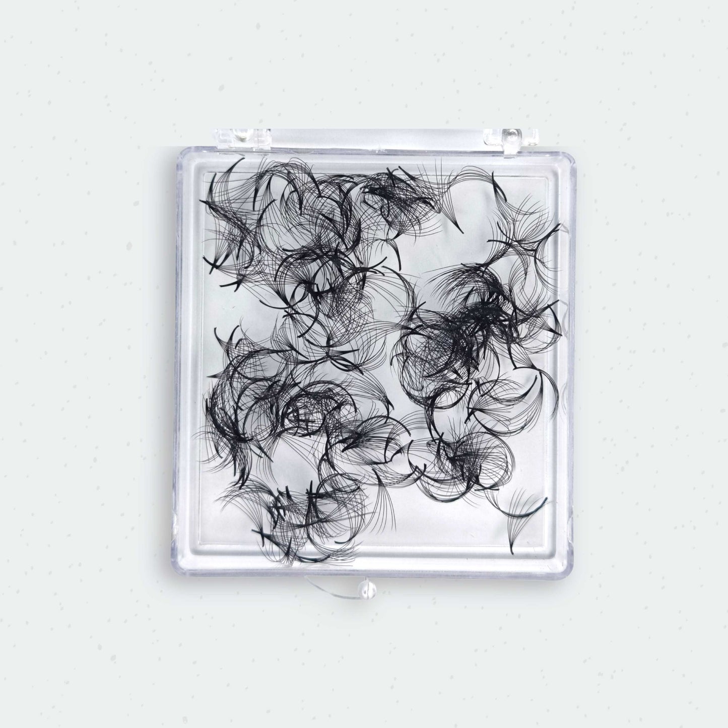 7D Promade Fans 0.07mm (300fans) C & D Curls Lash Boss Melbourne