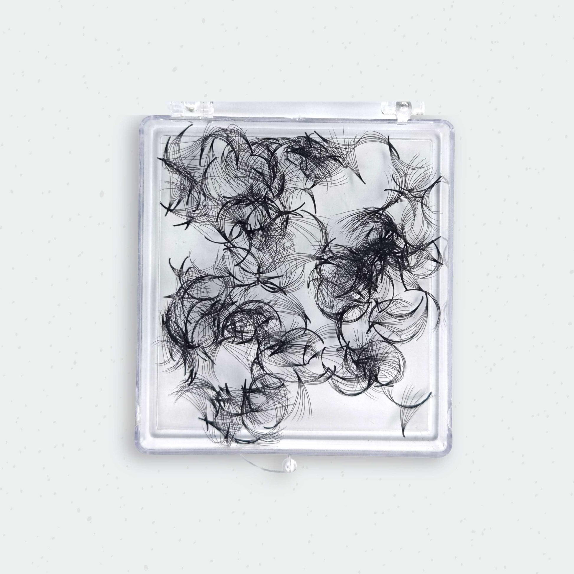 7D Promade Fans 0.07mm (300fans) C & D Curls Lash Boss Melbourne