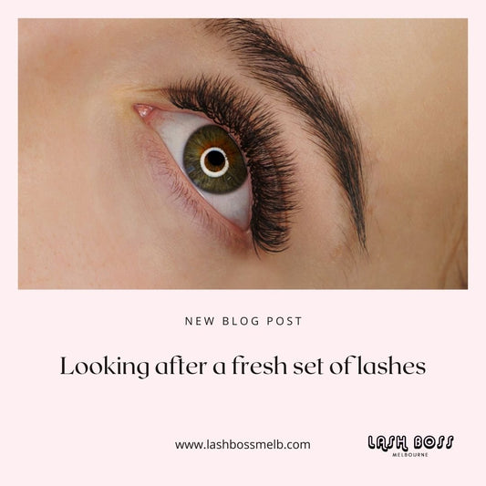 How to look after a fresh set of eyelash extensions - Lash extension course blog - Lash Boss Melbourne